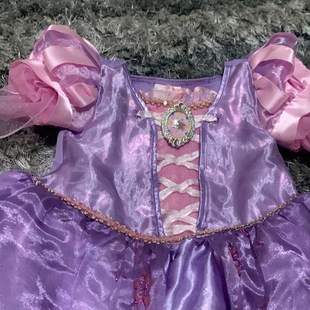 Disney Princess Costume